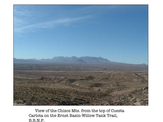 View of the Chisos Mts. from the top of Cuesta Carlota on the Ernst Basin-Willow Tank Trail, B.B.N.P. 