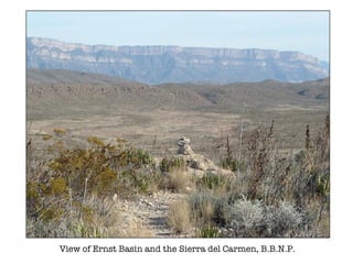 View of Ernst Basin and the Sierra del Carmen, B.B.N.P. 