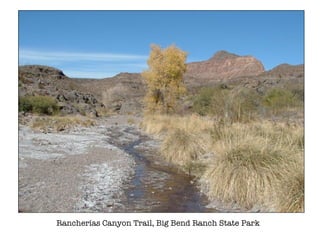 Rancheras Canyon Trail, Big Bend Ranch State Park 