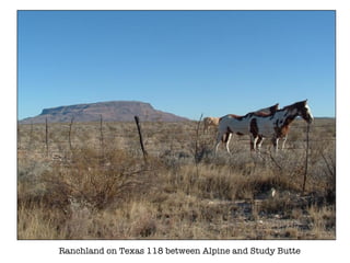 Ranchland on Texas 118 between Alpine and Study Butte 