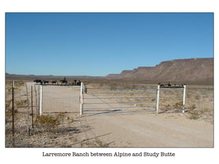 Larremore Ranch between Alpine and Study Butte 