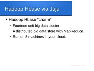 Sameer Verma, Ph.D.
Hadoop Hbase via Juju
●
Hadoop Hbase “charm”
– Fourteen unit big data cluster
– A distributed big data store with MapReduce
– Run on 8 machines in your cloud.
 