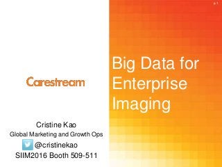 Big Data for
Enterprise
Imaging
Cristine Kao
Global Marketing and Growth Ops
@cristinekao
SIIM2016 Booth 509-511
p.1
 