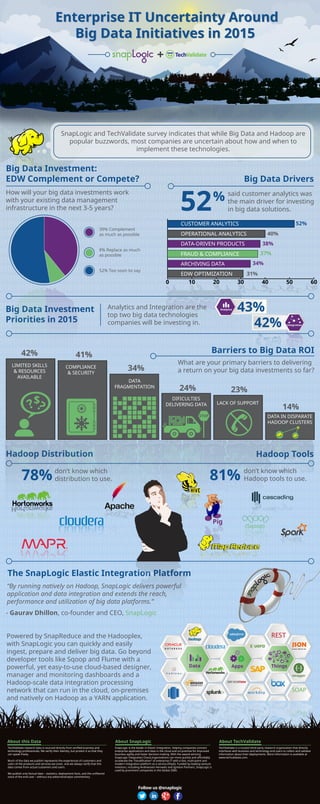 enterprise-it-uncertainty-around-big-data-initiatives-in-2015-pdf