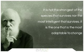 It is not the strongest of the
species that survives nor the
most intelligent that survives. it
is the one that is the most
adaptable to change
 