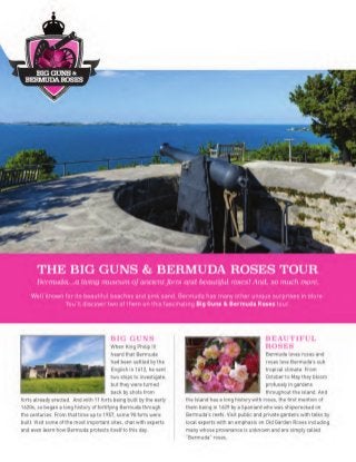 Big guns-and-bermuda-roses tour pdf