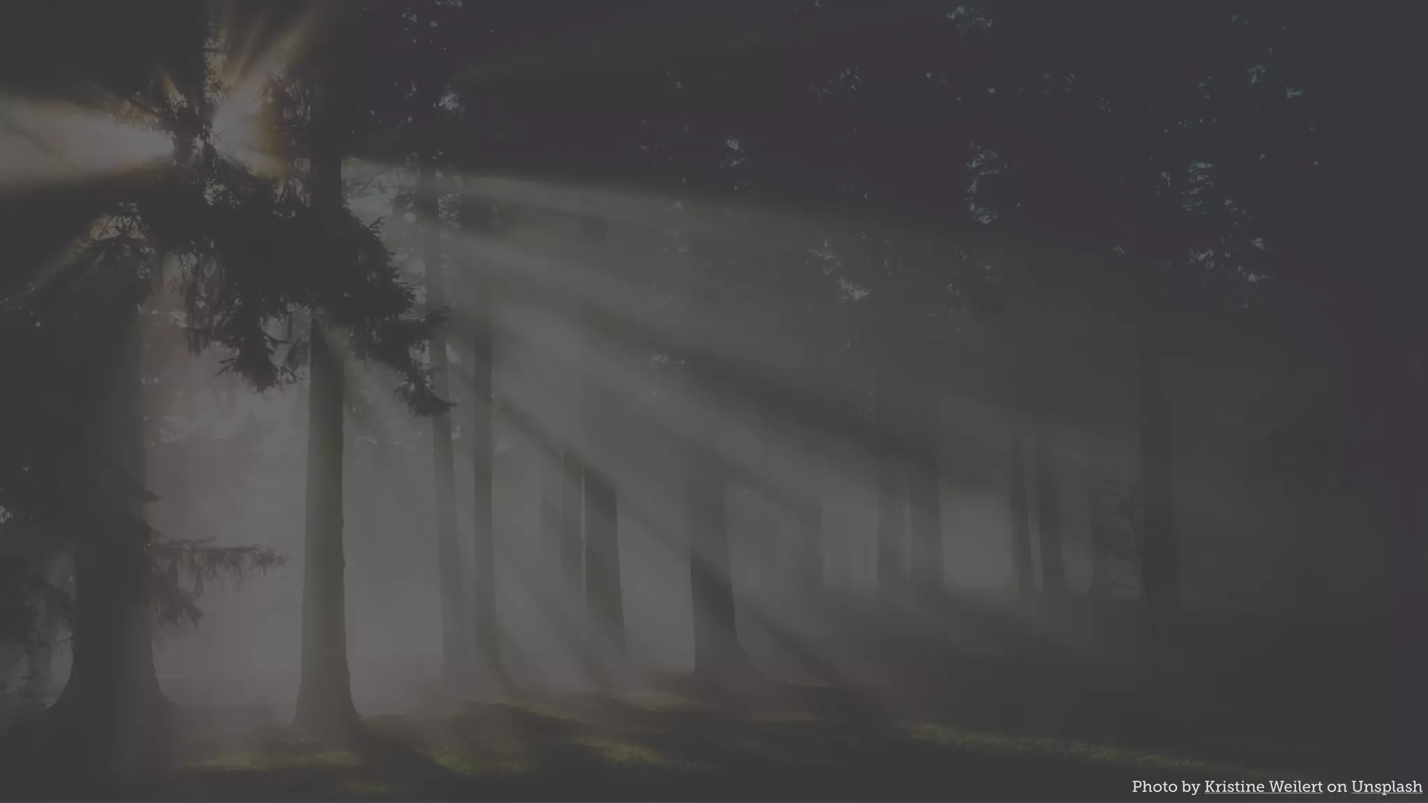 Photo by Kristine Weilert on Unsplash
 