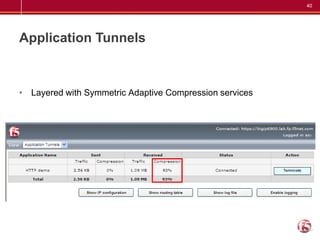 40




Application Tunnels



• Layered with Symmetric Adaptive Compression services
 
