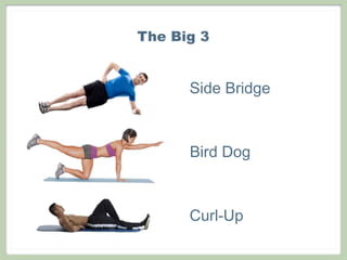 The Big 3


      Side Bridge



      Bird Dog



      Curl-Up
 