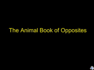 The Animal Book of Opposites 