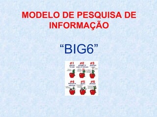 MODELO DE PESQUISA DE INFORMAÇÃO “BIG6” 