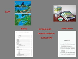 CAPA
ÍNDICE INTRODUÇÃO
DESENVOLVIMENTO
CONCLUSÃO
BIBLIOGRAFIA
 
