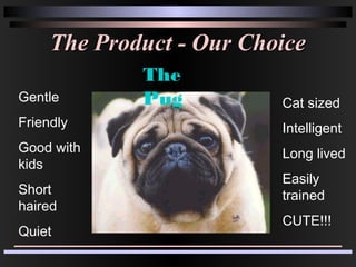 The Product - Our ChoiceThe Product - Our Choice
Gentle
Friendly
Good with
kids
Short
haired
Quiet
Cat sized
Intelligent
Long lived
Easily
trained
CUTE!!!
The
Pug
 