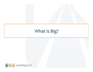 What	
  is	
  Big?
	
  

 