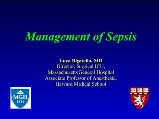 Management of Sepsis Luca Bigatello, MD Director, Surgical ICU, Massachusetts General Hospital Associate Professor of Anesthesia, Harvard Medical School 