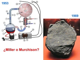 ¿Miller o Murchison?
1953
1969