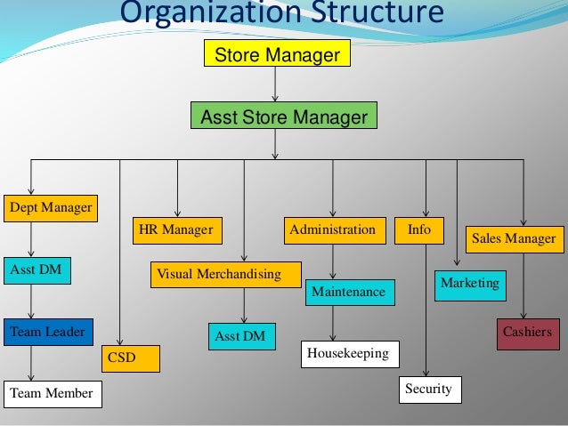 Organisational structure of big bazaar essay 06 picture