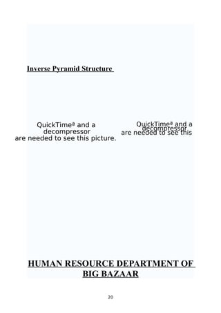 Inverse Pyramid Structure




      QuickTimeª and a               QuickTimeª and a
                                      decompressor
        decompressor            are needed to see this picture.
are needed to see this picture.




   HUMAN RESOURCE DEPARTMENT OF
            BIG BAZAAR

                            20
 
