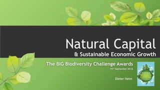 Natural Capital
& Sustainable Economic Growth
The BIG Biodiversity Challenge Awards
15th September 2016
Dieter Helm
 