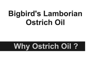 Bigbird's Lamborian
Ostrich Oil
Why Ostrich Oil ?
 