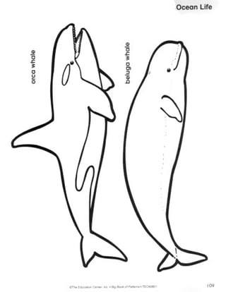 Big book patterns_pre-school_kindergarten