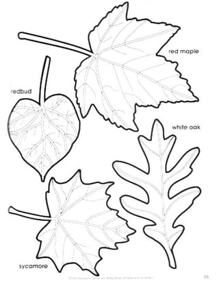 Big book patterns_pre-school_kindergarten