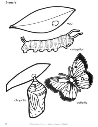 Big book patterns_pre-school_kindergarten