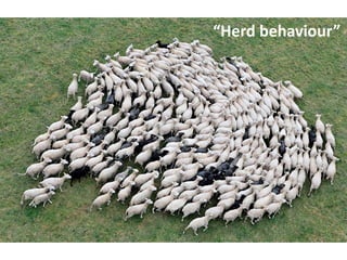 “Herd	behaviour”
 