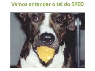 Vamos entender o tal do SPED




                       Fonte: Microsoft
 