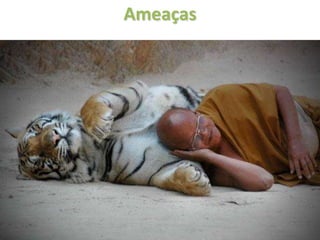 Ameaças
 