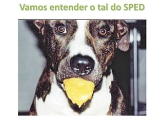 Vamos entender o tal do SPED
 