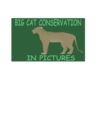 Big cat conservation in pictures