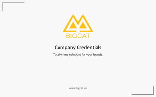 Company Credentials
www.bigcat.vn
Totally new solutions for your brands.
 