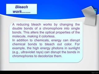 Bleach | PPTX