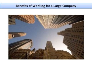 Benefits of Working for a Large Company
 
