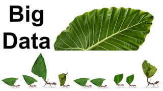 Big
Data
 