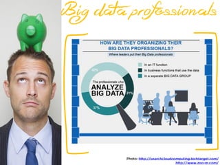 Big data professionals