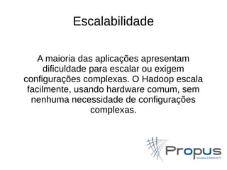 Escalabilidade 
A maioria das aplicações apresentam 
dificuldade para escalar ou exigem 
configurações complexas. O Hadoop escala 
facilmente, usando hardware comum, sem 
nenhuma necessidade de configurações 
complexas. 
 