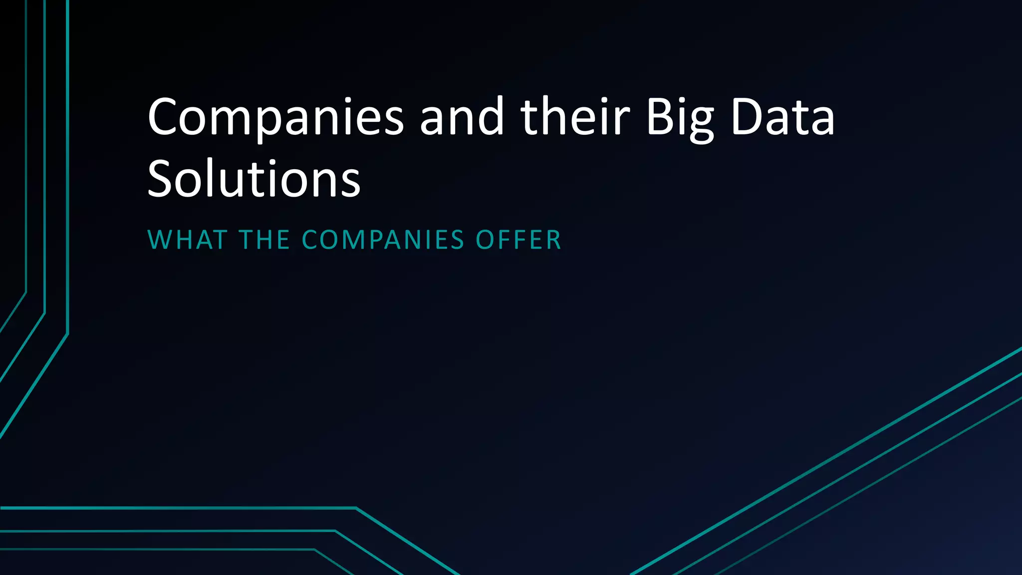 Companies and their Big Data
Solutions
WHAT THE COMPANIES OFFER
 