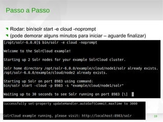 19
Passo a Passo
Rodar: bin/solr start -e cloud -noprompt
(pode demorar alguns minutos para iniciar – aguarde finalizar)
 