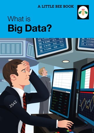 A LITTLE BEE BOOK
What is
Big Data?
 