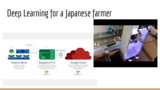 Deep Learning for a Japanese farmer
 