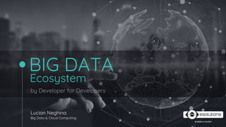 BIG DATA
Lucian Neghina
Big Data & Cloud Computing
by Developer for Developers
Ecosystem
 