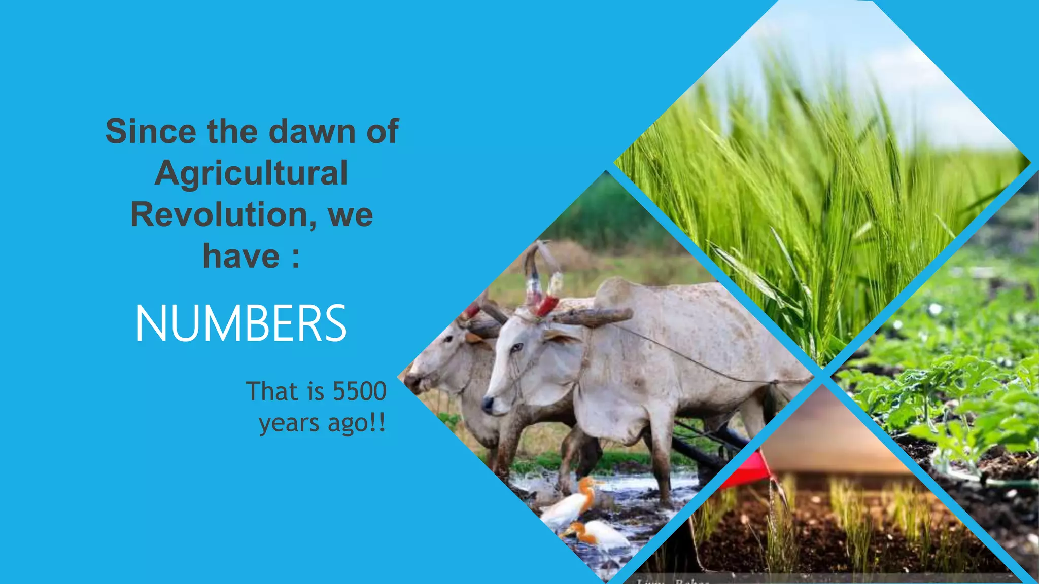 Since the dawn of
Agricultural
Revolution, we
have :
NUMBERS
That is 5500
years ago!!
 