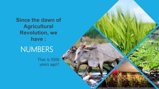 Since the dawn of
Agricultural
Revolution, we
have :
NUMBERS
That is 5500
years ago!!
 