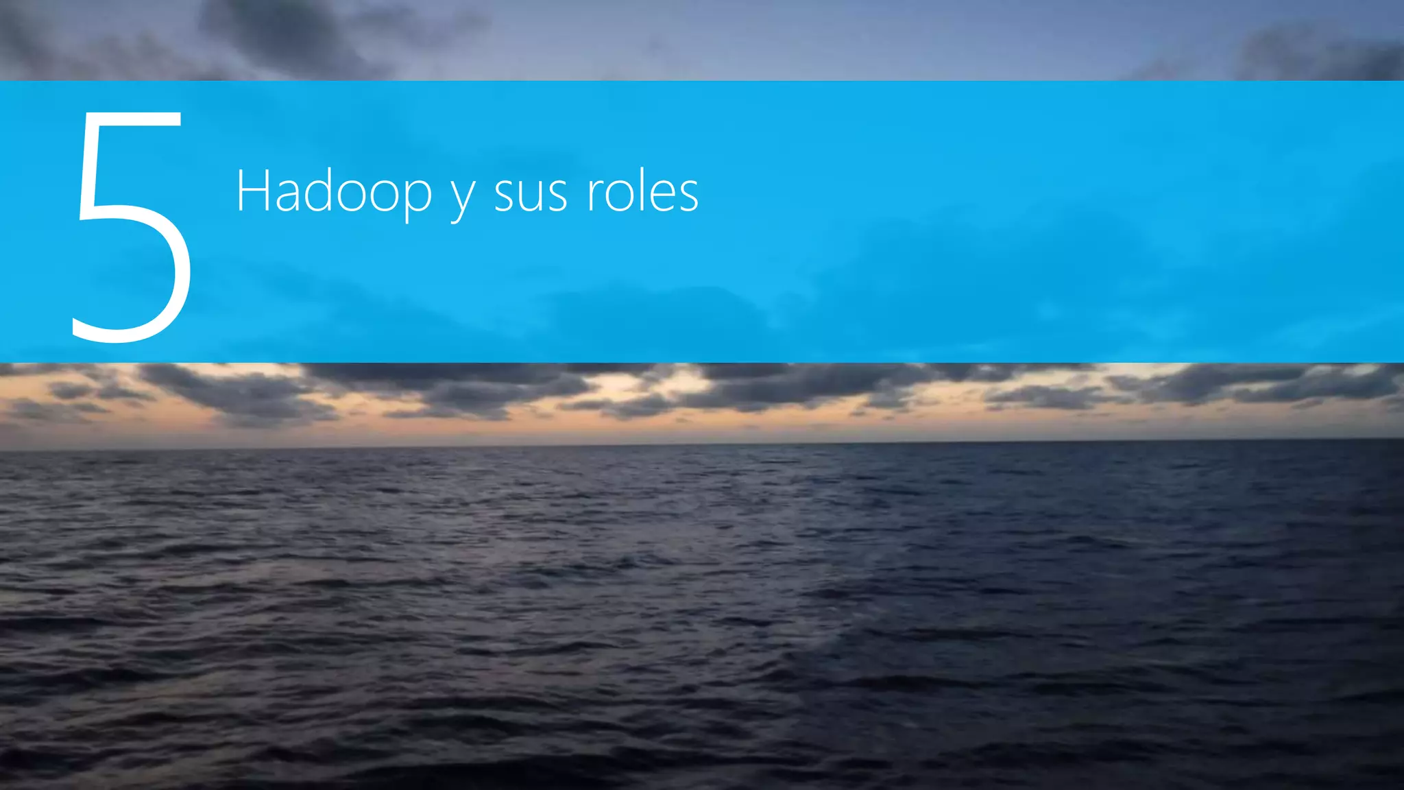 Hadoop y sus roles
 