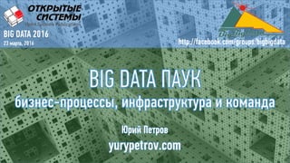 Юрий Петров
yurypetrov.com
BIG DATA 2016
23 марта, 2016 http://facebook.com/groups/bigbigdata
 