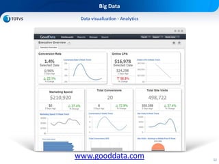 12
Big Data
Data visualization - Analytics
www.gooddata.com
 