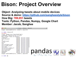 Bison Project Bison: Project Overview | PDF
