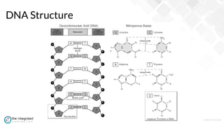 WWW.TIC.OM
102
DNA Structure
 